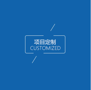 項目定制